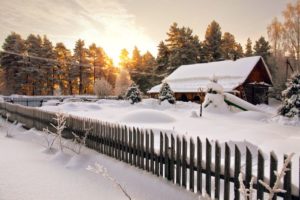 Winter Home